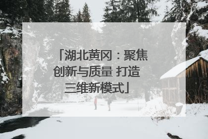 湖北黄冈：聚焦创新与质量 打造三维新模式
