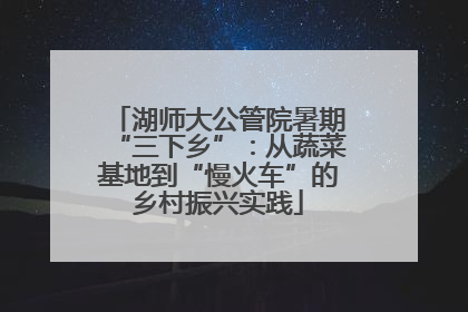 湖师大公管院暑期“三下乡”：从蔬菜基地到“慢火车”的乡村振兴实践