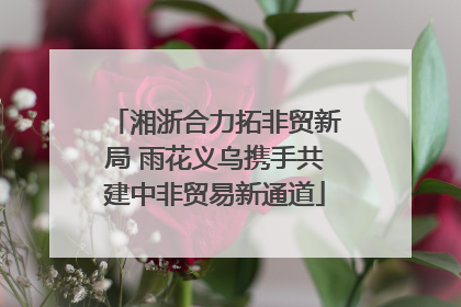 湘浙合力拓非贸新局 雨花义乌携手共建中非贸易新通道