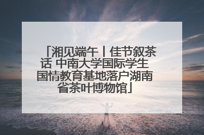 湘见端午丨佳节叙茶话 中南大学国际学生国情教育基地落户湖南省茶叶博物馆