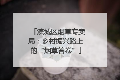 滨城区烟草专卖局：乡村振兴路上的“烟草答卷”