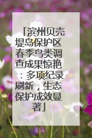 滨州贝壳堤岛保护区春季鸟类调查成果惊艳：多项纪录刷新，生态保护成效显著