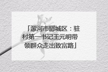 漯河市郾城区：驻村第一书记王元明带领群众走出致富路