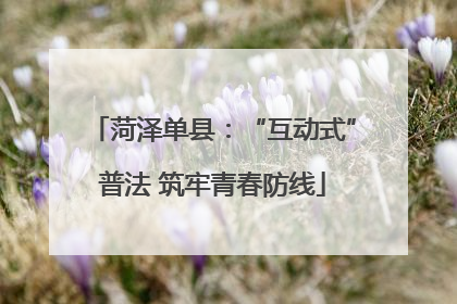 菏泽单县：“互动式”普法 筑牢青春防线