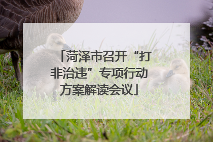 菏泽市召开“打非治违”专项行动方案解读会议