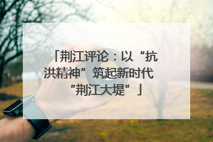 荆江评论：以“抗洪精神”筑起新时代“荆江大堤”