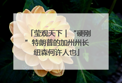 莹观天下｜“硬刚”特朗普的加州州长纽森何许人也