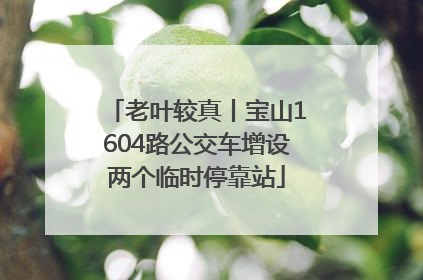 老叶较真丨宝山1604路公交车增设两个临时停靠站