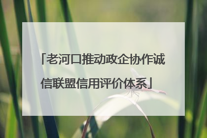 老河口推动政企协作诚信联盟信用评价体系