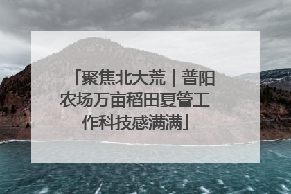 聚焦北大荒｜普阳农场万亩稻田夏管工作科技感满满