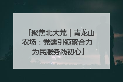 聚焦北大荒｜青龙山农场：党建引领聚合力 为民服务践初心