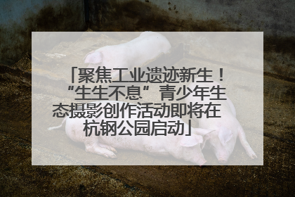 聚焦工业遗迹新生！“生生不息”青少年生态摄影创作活动即将在杭钢公园启动