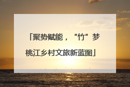 聚势赋能，“竹”梦桃江乡村文旅新蓝图