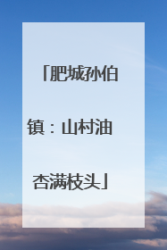 肥城孙伯镇：山村油杏满枝头