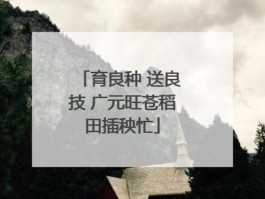 育良种 送良技 广元旺苍稻田插秧忙