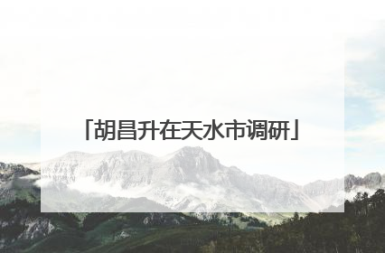 胡昌升在天水市调研