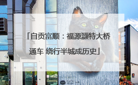 自贡富顺：福源灏特大桥通车 绕行半城成历史