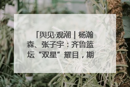 舆见·观潮｜杨瀚森、张子宇：齐鲁篮坛“双星”耀目，期许与挑战并存