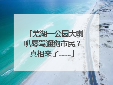 芜湖一公园大喇叭辱骂遛狗市民？真相来了……