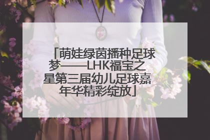 萌娃绿茵播种足球梦——LHK福宝之星第三届幼儿足球嘉年华精彩绽放
