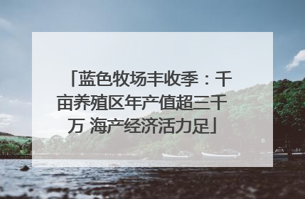 蓝色牧场丰收季：千亩养殖区年产值超三千万 海产经济活力足