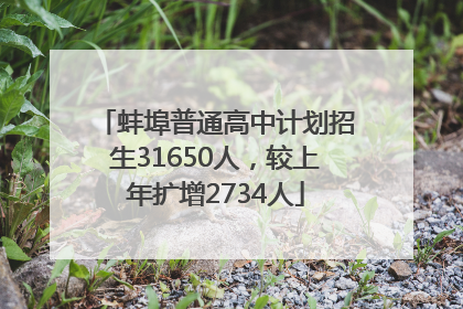 蚌埠普通高中计划招生31650人，较上年扩增2734人
