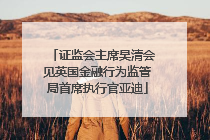 证监会主席吴清会见英国金融行为监管局首席执行官亚迪