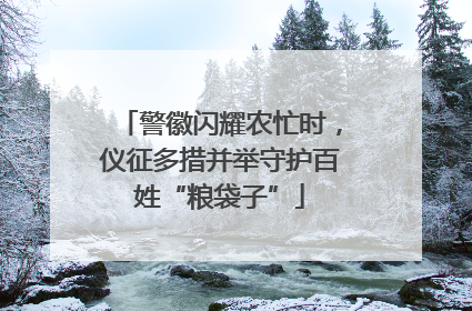 警徽闪耀农忙时，仪征多措并举守护百姓“粮袋子”