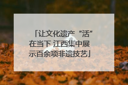 让文化遗产“活”在当下 江西集中展示百余项非遗技艺