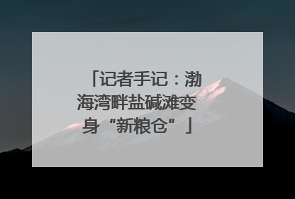 记者手记：渤海湾畔盐碱滩变身“新粮仓”