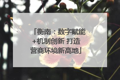 衡南：数字赋能+机制创新 打造营商环境新高地