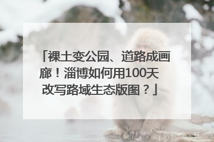 裸土变公园、道路成画廊！淄博如何用100天改写路域生态版图？