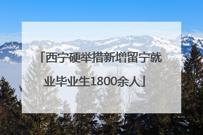 西宁硬举措新增留宁就业毕业生1800余人