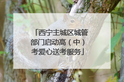 西宁主城区城管部门启动高（中）考爱心送考服务