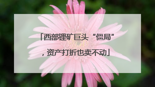 西部锂矿巨头“僵局”，资产打折也卖不动