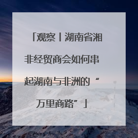 观察丨湖南省湘非经贸商会如何串起湖南与非洲的“万里商路”