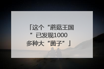 这个“蘑菇王国”已发现1000多种大“菌子”