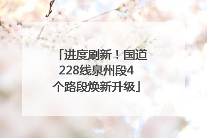 进度刷新！国道228线泉州段4个路段焕新升级