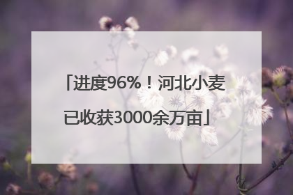 进度96%！河北小麦已收获3000余万亩