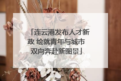 连云港发布人才新政 绘就青年与城市双向奔赴新图景