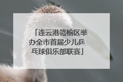 连云港赣榆区举办全市首届少儿乒乓球俱乐部联赛