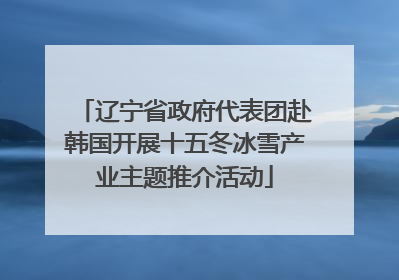 辽宁省政府代表团赴韩国开展十五冬冰雪产业主题推介活动