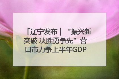 辽宁发布｜“振兴新突破 决胜勇争先”营口市力争上半年GDP增长6%左右