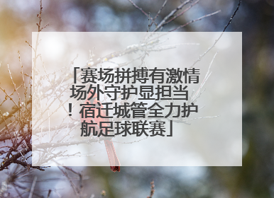 赛场拼搏有激情 场外守护显担当！宿迁城管全力护航足球联赛