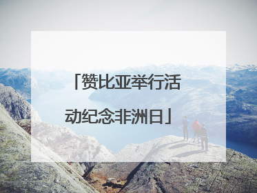 赞比亚举行活动纪念非洲日