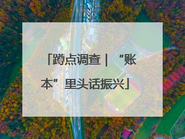 蹲点调查｜“账本”里头话振兴