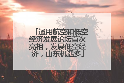 通用航空和低空经济发展论坛首次亮相，发展低空经济，山东机遇多