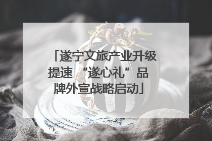 遂宁文旅产业升级提速 “遂心礼”品牌外宣战略启动