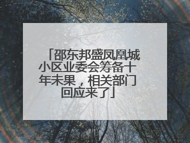 邵东邦盛凤凰城小区业委会筹备十年未果，相关部门回应来了