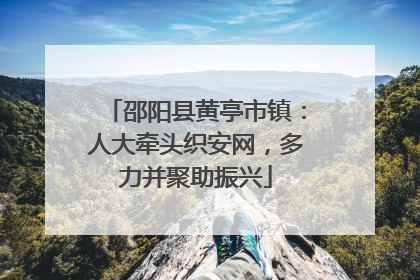 邵阳县黄亭市镇：人大牵头织安网，多力并聚助振兴